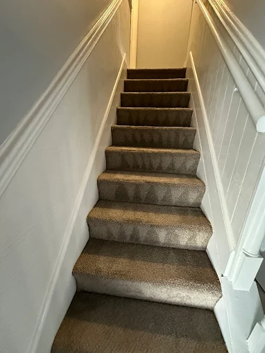 Narrow carpeted staircase with white walls leading upward